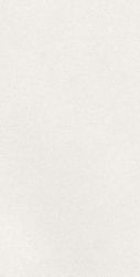 A042731 Плитка Caprice White Rect 60x120
