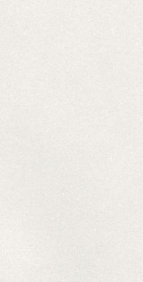 A042731 Плитка Caprice White Rect 60x120