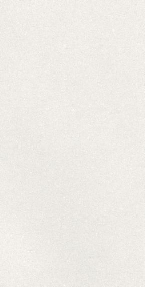A042731 Плитка Caprice White Rect 60x120