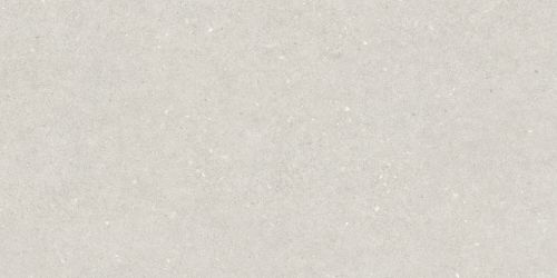 A042746 Плитка Essence White Rect 60x120