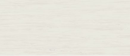 A0BP Marvel Bianco Dolomite Lappato 120x278