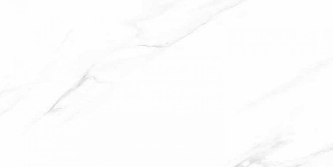A0KB AA0A Calacatta white polished 59.7x119.8