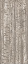 A0LW Boost Pro Grove 120x278
