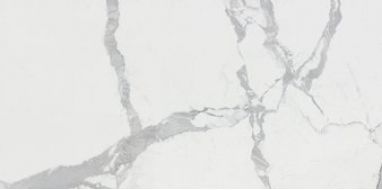 A12GCCTEWHEN0X5P Керамогранит Calacatta Extra Lapp 60x120