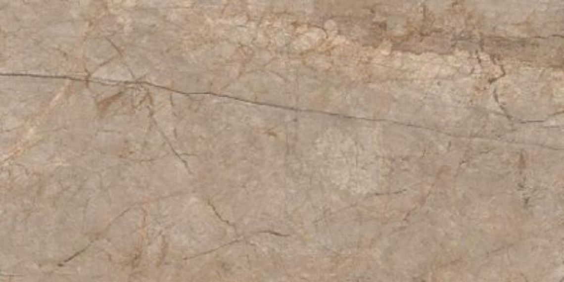 A17056 Silver roots серый ректификат 60x120