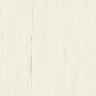 A204 Marvel Bianco Dolomite 120x120