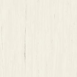 A204 Marvel Bianco Dolomite 120x120
