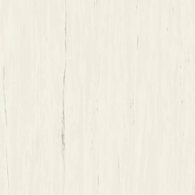 A204 Marvel Bianco Dolomite 120x120