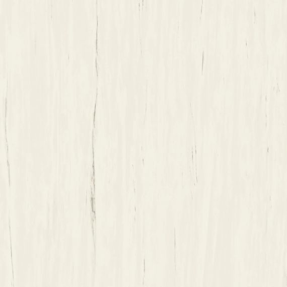 A204 Marvel Bianco Dolomite 120x120