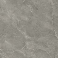 A205 Marvel Grey Fleury 120x120