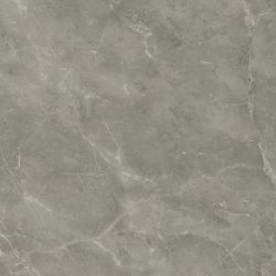 A205 Marvel Grey Fleury 120x120