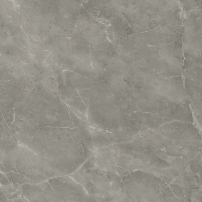 A205 Marvel Grey Fleury 120x120