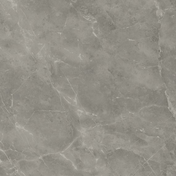 A205 Marvel Grey Fleury 120x120