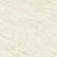 A206 Marvel Cremo Delicato 120x120