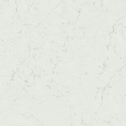 A207 Marvel Carrara Pure 120x120