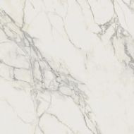 A20Y Marvel Calacatta Extra 120x120