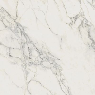 A20Y Marvel Calacatta Extra 120x120
