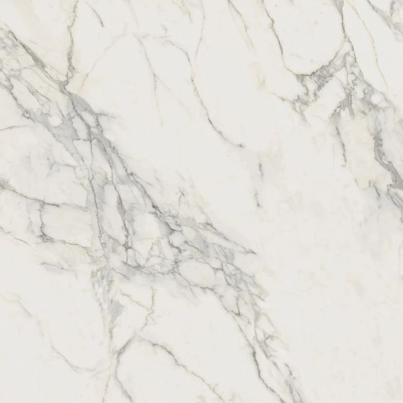 A20Y Marvel Calacatta Extra 120x120