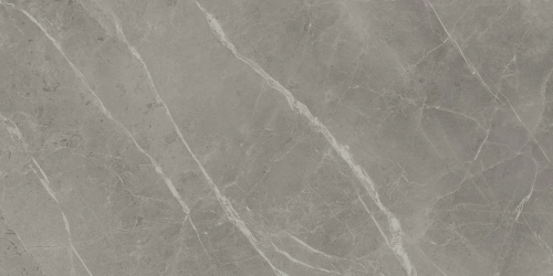 A21F Marvel Grey Fleury 60x120