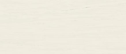 A2RS Marvel Bianco Dolomite Matt 120x278