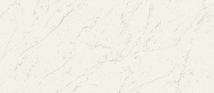 A2RV Marvel Carrara Pure Matt 120x278