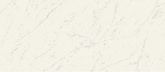A2RV Marvel Carrara Pure Matt 120x278
