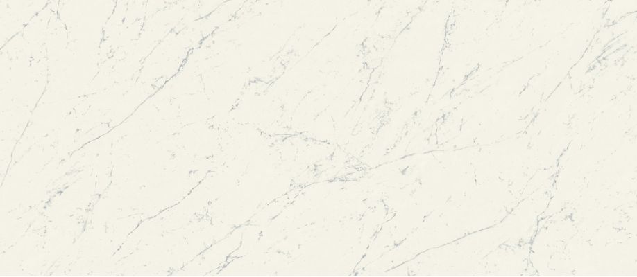 A2RV Marvel Carrara Pure Matt 120x278