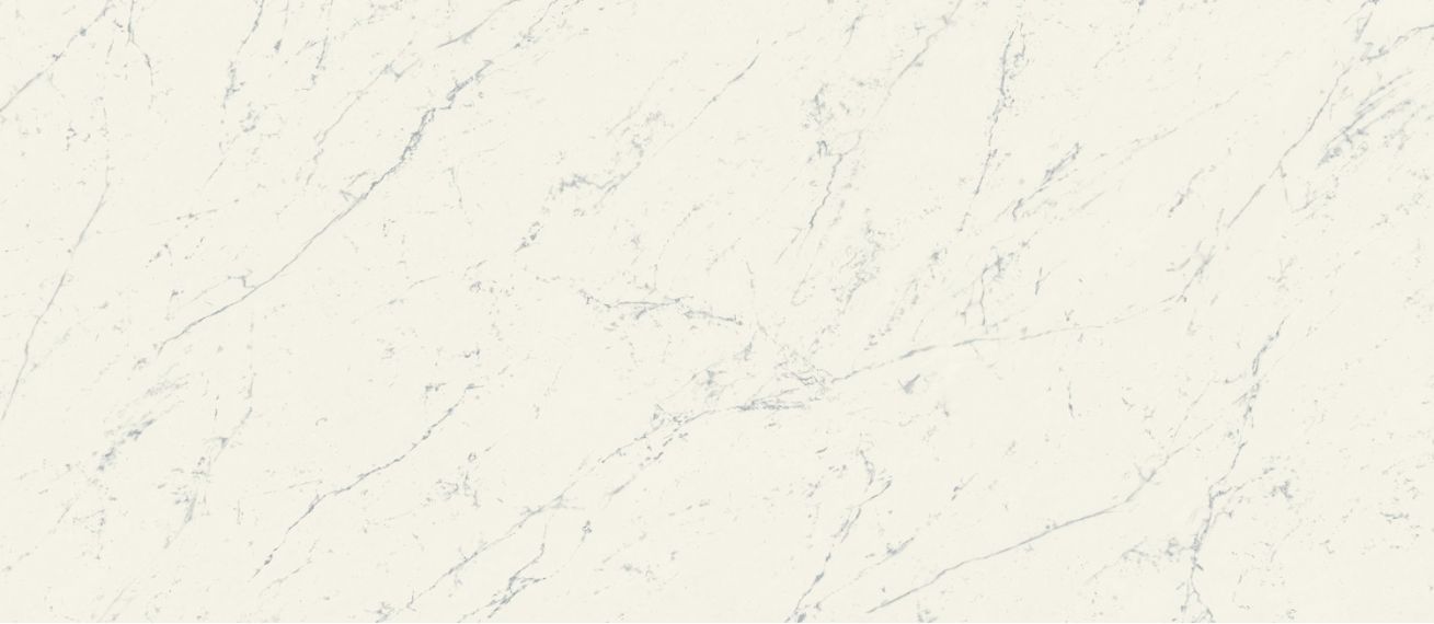 A2RV Marvel Carrara Pure Matt 120x278