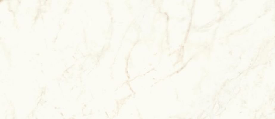 A4OY Marvel Calacatta Delicato Lappato 120x278