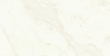 A4Q0 Marvel Calacatta Delicato Lappato 60x120
