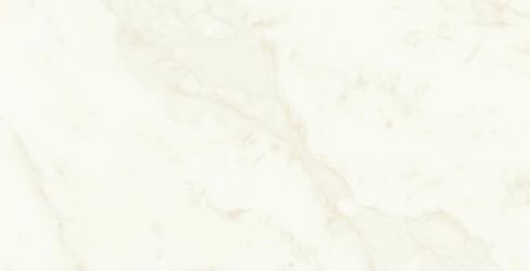 A4Q0 Marvel Calacatta Delicato Lappato 60x120