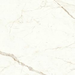 A4Q1 Marvel Calacatta Prestigio Lappato 60x120
