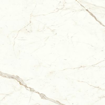 A4Q1 Marvel Calacatta Prestigio Lappato 60x120