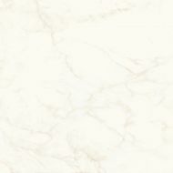 A4Q4 Marvel Calacatta Delicato Matt 120x120
