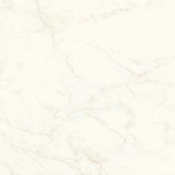 A4Q4 Marvel Calacatta Delicato Matt 120x120
