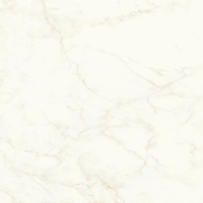 A4Q4 Marvel Calacatta Delicato Matt 120x120