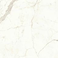 A4Q5 Marvel Calacatta Prestigio Matt 120x120