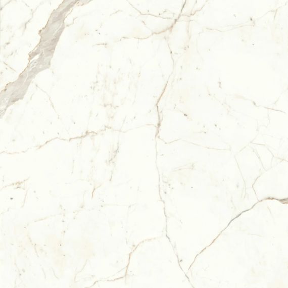 A4Q5 Marvel Calacatta Prestigio Matt 120x120