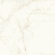 A4Q8 Marvel Calacatta Delicato Lappato 120x120