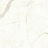 A4Q9 Marvel Calacatta Prestigio Lappato 120x120