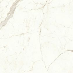 A4Q9 Marvel Calacatta Prestigio Lappato 120x120
