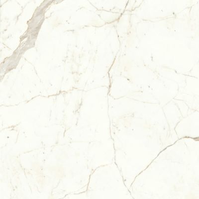 A4Q9 Marvel Calacatta Prestigio Lappato 120x120