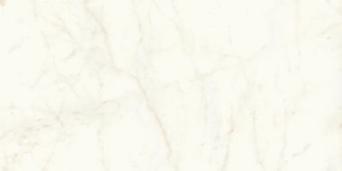 A4RH Marvel Calacatta Delicato Lappato 120x240