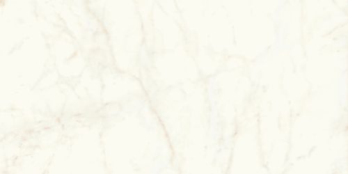 A4RH Marvel Calacatta Delicato Lappato 120x240
