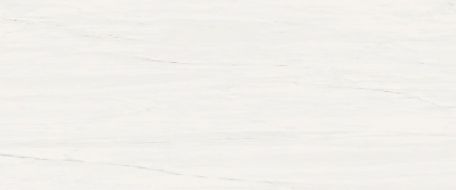 A4S4 Marvel Bianco Dolomite 50x120