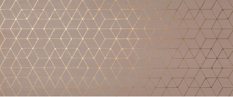 A4T9 Mek Rose Hexagon 50x120