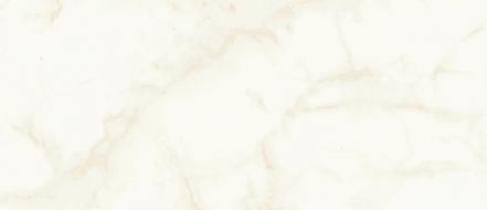 A4TT Marvel Calacatta Delicato Silk 50x120