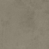 A4XS Boost Pro Taupe 20mm 60x60