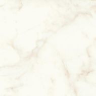 A5TC Marvel Calacatta Delicato Silk 60x60