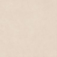 A658 Boost Natural Kaolin 60x60